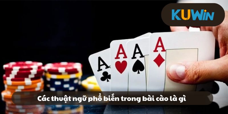 Các thuật ngữ phổ biến trong bài cào là gì