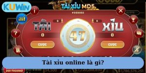 Hướng dẫn cách chơi tài xỉu online cực hay, cực đơn giản