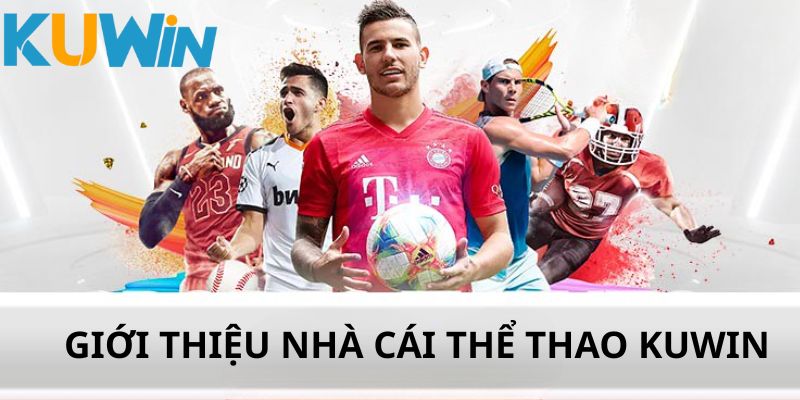 giới thiệu nhà cái thể thao kuwin