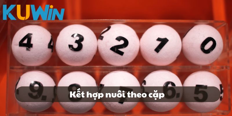 Những điểm đặc biệt bạn nhận được khi tham gia tại Kuwin