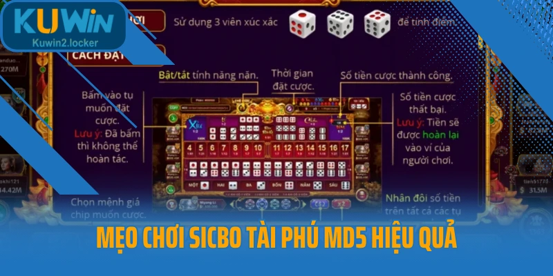 Mẹo chơi Sicbo Tài Phú MD5 hiệu quả